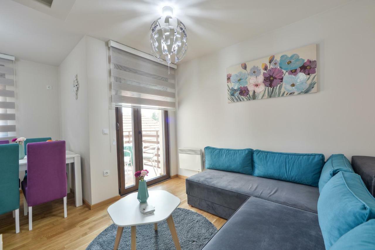 Apartman Alex ズラティボール エクステリア 写真