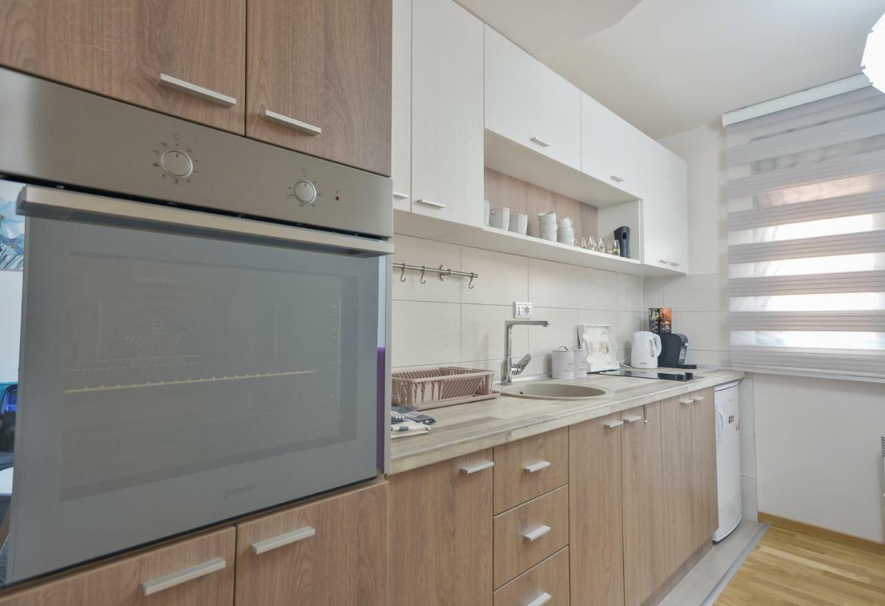 Apartman Alex ズラティボール エクステリア 写真